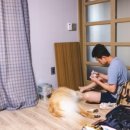 성산골든펜션 이미지