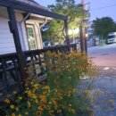 개미촌펜션 이미지