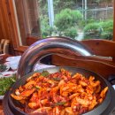 불미골오리 이미지