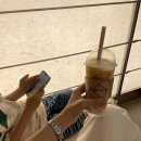 뚜레쥬르 마포홍대점 | 홍대 아이랑 햄버거 단체주문 추천 스노우번 젤라또까지 먹고온 후기