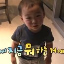 굿나잇도그