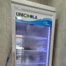 가평 모아이캠프 사이트추천, 장단점, A-4 두가족 사이트 우중캠 현실 후기(내돈내산)