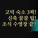 송탄-110V | 분석 | 2023년 신축 사르토리아 안마의자 꿀잠 후기 | 월드호텔 무료 조식 수영장 | 출장 비즈니스 쏘타...