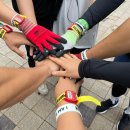 스파르탄짐 | 헬린이의 2024 스파르탄레이스 태백 비스트 21k 후기 준비물