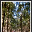 경인3목장 이미지