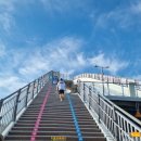 금강보행교 북측 공원 | ★세종시 가볼만한 곳 - 세종시 랜드마크 '이응다리'(금강보행교)후기및 이용정보