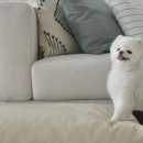 투유마켓 이미지