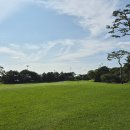 대호집밥 이미지