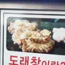 도래곱창 이미지