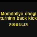 돌려차기태권도 이미지