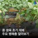 대풍종묘농약 네이버블로그