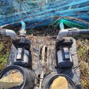 수일농장 이미지