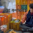 장터농장 티스토리