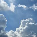 태양농원 이미지