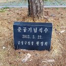 선두구동목욕탕 이미지