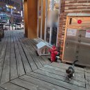 육온담 | 나주 빛가람동 고기집 추천 육온담 재방문후기(ft.구워주는고깃집)