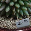 동운가든 이미지