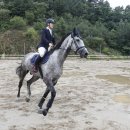 중원대학교 공공승마장 이미지