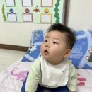 🤍 도율아, 다겸아 환영해 🤍 이미지