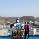 대아매점 | 크루즈 여행 2일차] 새벽 썬플라워호 출항부터 나리분지, 예림원, 대아리조트까지 하루 가득 알차게! 🌊🚗