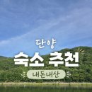 남한강솔밭펜션민박 | [단양] 내돈내산 | 단양 숙소 추천 | 뷰가 예쁜 단양 펜션 | 남한강솔밭펜션
