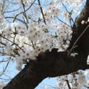 서면시장 이미지