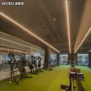 바디피티 네이버블로그