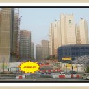 영수태권도 이미지