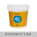 공간페인트 이미지