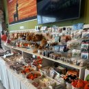 제주레포츠랜드주식회사 | 제주 레포츠랜드 카트 체험 후기 액티비티 추천