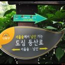 200회 일요걷기는(7월22일)매봉산. 버티고개. 남산을 갑니다^^ 이미지