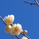 삼성2차경로당 이미지