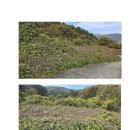 여수부영공인중개사사무소 이미지