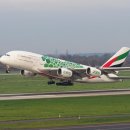 국제이민행정사 이미지