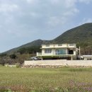 브라운힐프 이미지