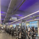 헬스24시3개월15만원 이미지