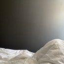 첫 친구, 한식 조진날, WorkBC에서 resume 프린트/스팀클락/스탠리파크에서 23000보 걷기 +호텔 면접 후기