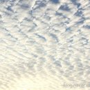 박고집숯불구이 이미지