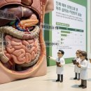 동양섬유(주)여주지점 | 당뇨 요새 무너뜨린 여주 카란틴 혈당 소탕 작전