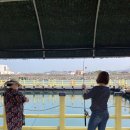 낚고락고 이미지