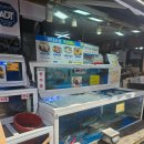 바다올레 | 올레시장 횟집 바다수산 서귀포올레시장점 돔방어광어 서비스 후기