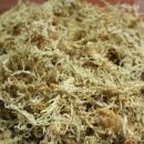 서곡초등학교 병설유치원 이미지