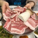 천안역 | 천안역 맛집 자연농원 후기 | 냉삼·생삼 가성비 미쳤다 반찬까지 완벽한 곳