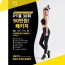 와이디짐 이미지