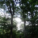 헝클머리 이미지