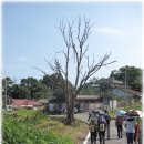 지산2리 경로당 이미지