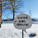 붕어섬테니스장 이미지