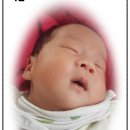 배고픈 모찌 이미지