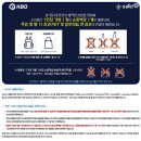 직관의 매력! 승리요정과 함께한 대구 삼성 라이온즈 파크 U-25 스카이상단 직관 후기