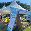 달천운동장 이미지